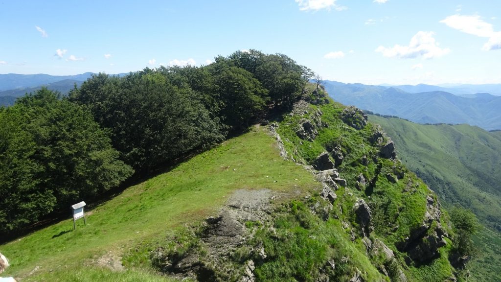 Scoperto un secondo cippo di confine di età romana sul monte Ramaceto (Val Fontanabuona)